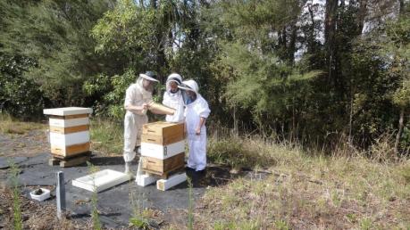 Claude and girls observing a frame of bees